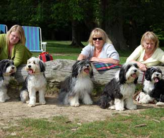 Tillymint's family reunion at Petworth Park